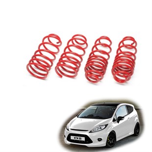 Ford Fiesta spor yay helezon 35mm/35mm 2003-2009 Coil-ex